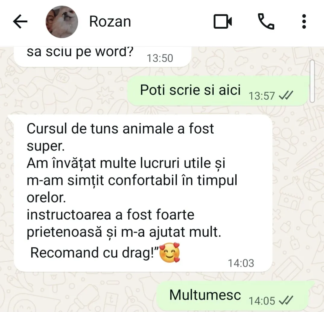 Testimonial absolvent curs grooming